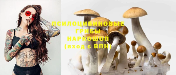 mix Костерёво
