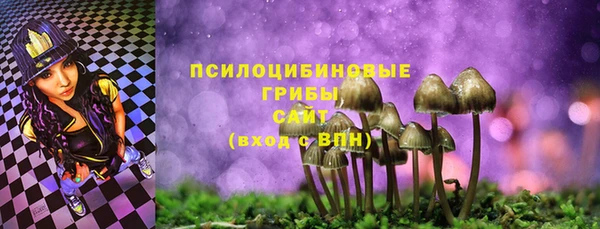 MESCALINE Коряжма