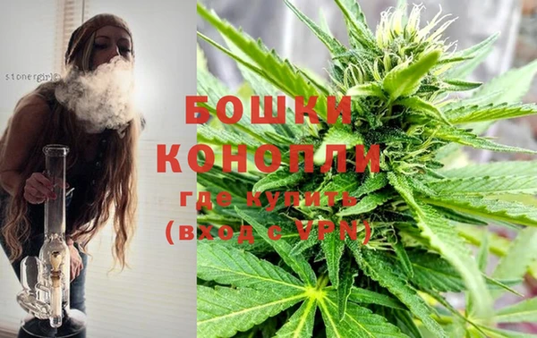 MESCALINE Коряжма