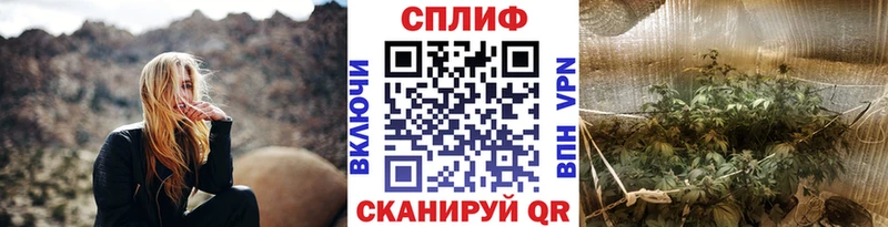 Купить где Майкоп Каннабис Ganja